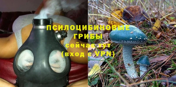 jwh Алзамай