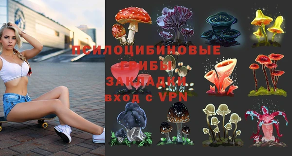spice Алексин