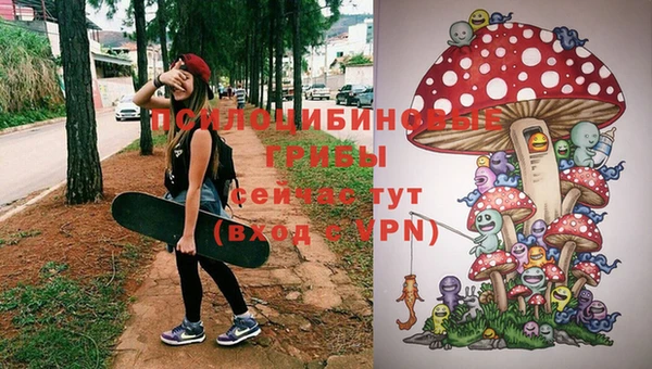 spice Алексин