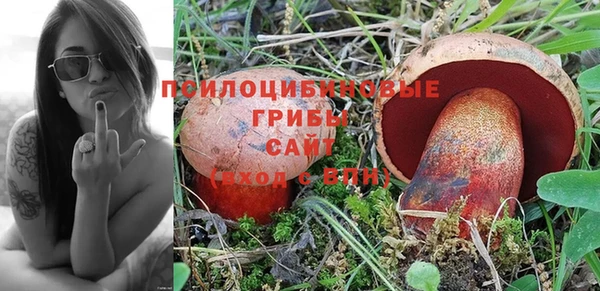 гидропоника Нея