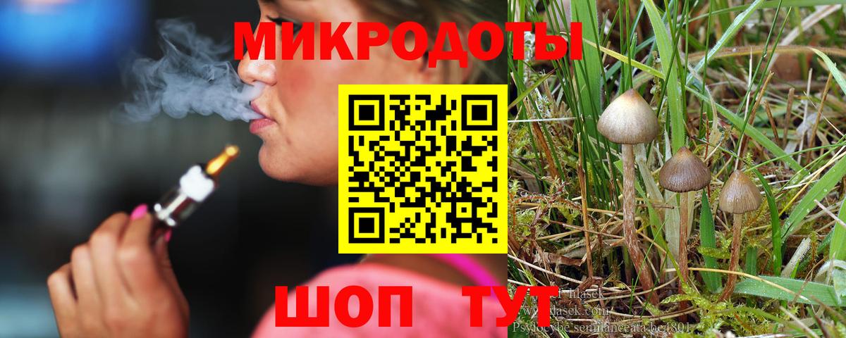 Псилоцибиновые грибы Cubensis Первоуральск